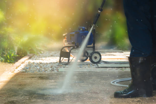 Best Solar Panel Cleaning  in Bloomfield, IA